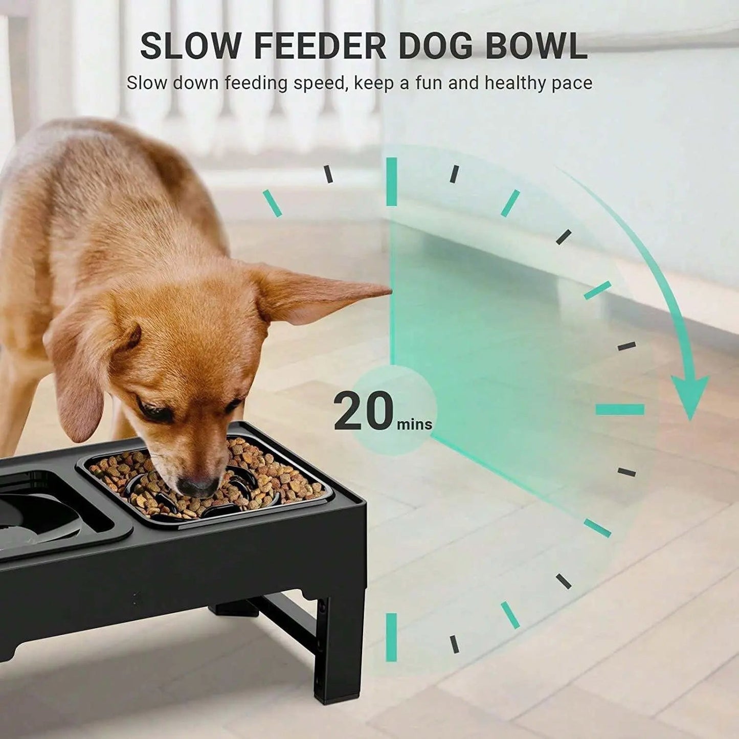 Adjustable Elevated Dog Bowl - Zero Splash & Slow Feeder