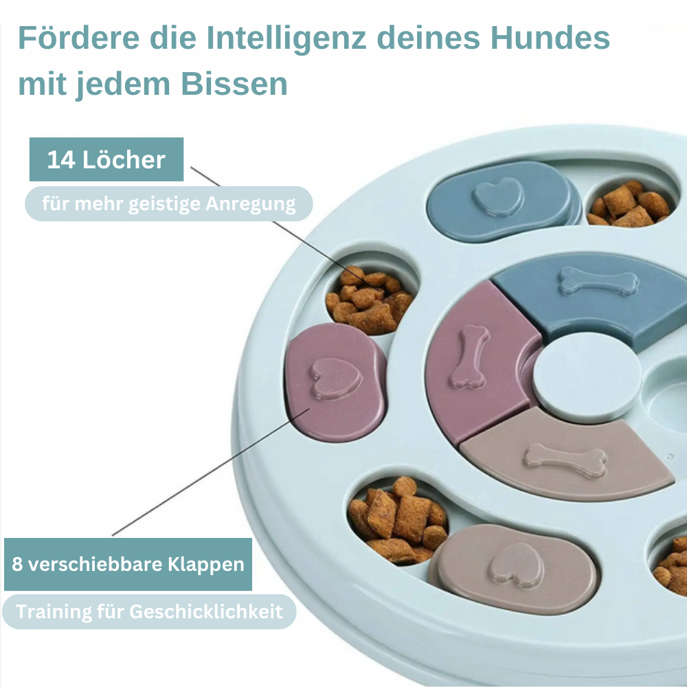 Brain Game Puzzle