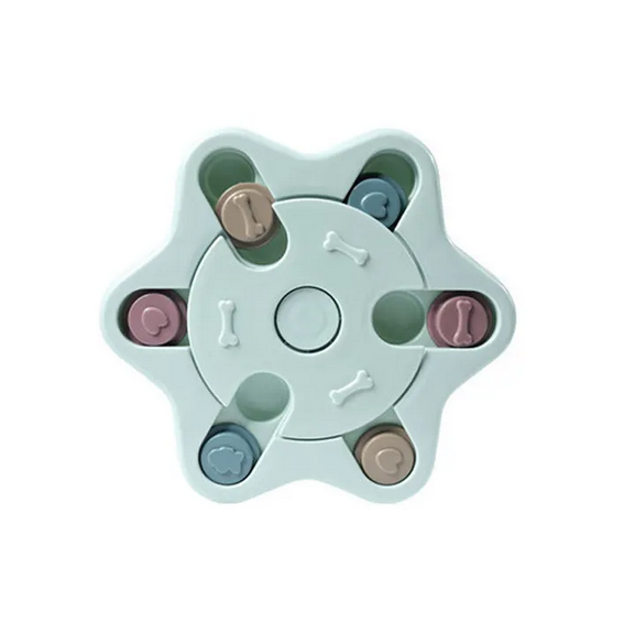 Brain Game Puzzle