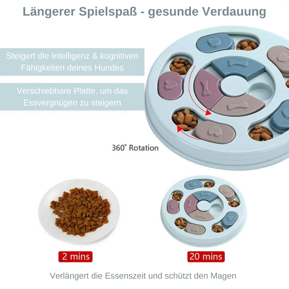 Brain Game Puzzle