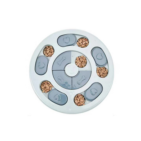 Brain Game Puzzle