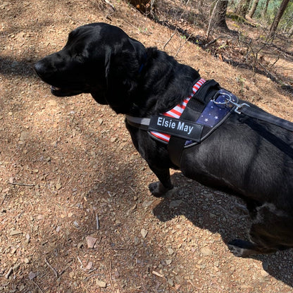 Personalized No Pull Dog Harness