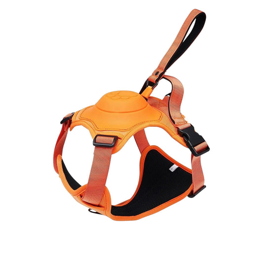 All-in-One Dog Harness & Retractable Leash