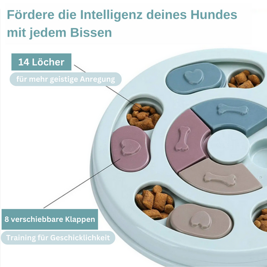 Brain Game Puzzle