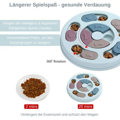 Brain Game Puzzle